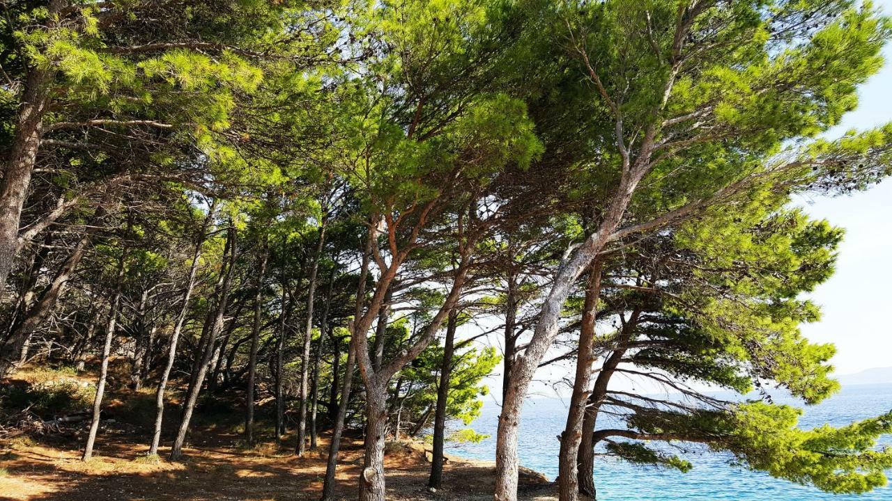 Sea Panorama Villa Mimice Dış mekan fotoğraf